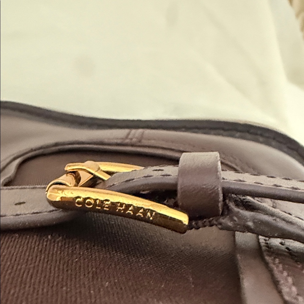 Cole Haan Women’s Chelsea Booties in Deep Brown with Gold Buckle - Picture 5 of 9